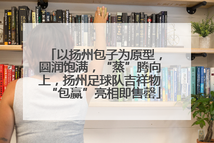 以扬州包子为原型，圆润饱满，“蒸”腾向上，扬州足球队吉祥物“包赢”亮相即售罄