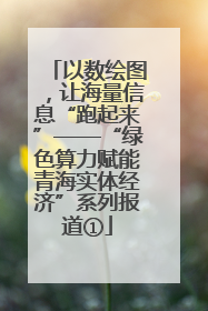 以数绘图，让海量信息“跑起来”——“绿色算力赋能青海实体经济”系列报道①