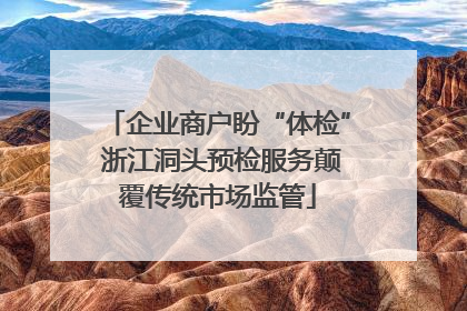 企业商户盼“体检” 浙江洞头预检服务颠覆传统市场监管