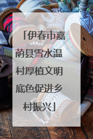 伊春市嘉荫县雪水温村厚植文明底色促进乡村振兴