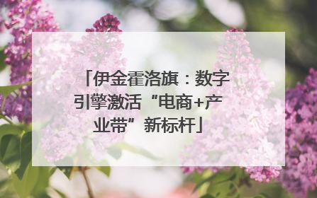 伊金霍洛旗：数字引擎激活“电商+产业带”新标杆