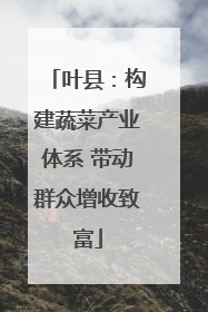叶县：构建蔬菜产业体系 带动群众增收致富