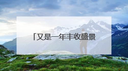 又是一年丰收盛景！淄博临淄29万余亩小麦开镰啦