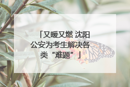 又暖又燃 沈阳公安为考生解决各类“难题”