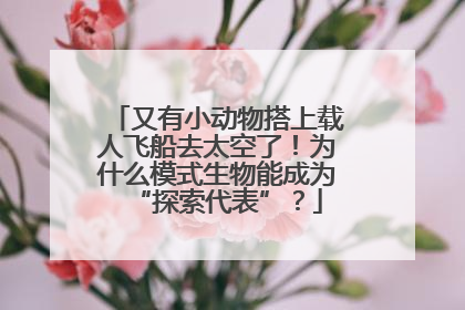 又有小动物搭上载人飞船去太空了！为什么模式生物能成为“探索代表”？