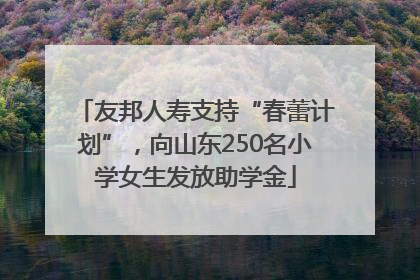 友邦人寿支持“春蕾计划”，向山东250名小学女生发放助学金