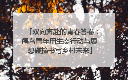 双向奔赴的青春答卷：鸬鸟青年用生态行动与思想碰撞书写乡村未来