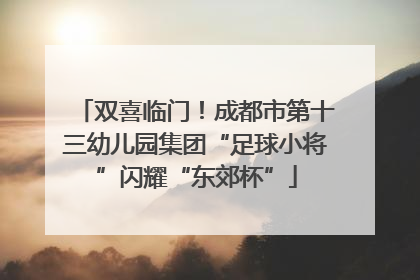 双喜临门！成都市第十三幼儿园集团“足球小将”闪耀“东郊杯”