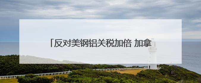 反对美钢铝关税加倍 加拿大、墨西哥、欧盟反应来了