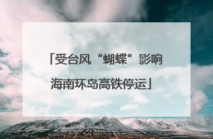 受台风“蝴蝶”影响 海南环岛高铁停运