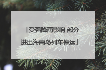 受强降雨影响 部分进出海南岛列车停运