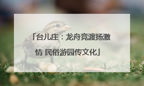 台儿庄：龙舟竞渡扬激情 民俗游园传文化