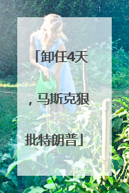 卸任4天，马斯克狠批特朗普