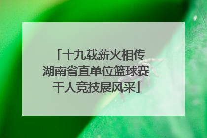 十九载薪火相传 湖南省直单位篮球赛千人竞技展风采