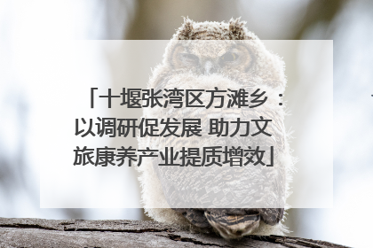 十堰张湾区方滩乡：以调研促发展 助力文旅康养产业提质增效