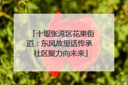 十堰张湾区花果街道：东风故里话传承 社区聚力向未来