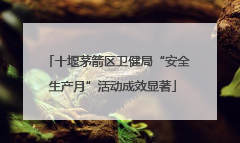 十堰茅箭区卫健局“安全生产月”活动成效显著