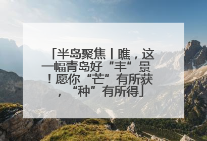 半岛聚焦丨瞧，这一幅青岛好“丰”景！愿你“芒”有所获，“种”有所得