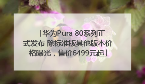 华为Pura 80系列正式发布 除标准版其他版本价格曝光，售价6499元起