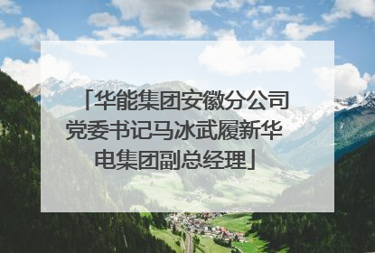 华能集团安徽分公司党委书记马冰武履新华电集团副总经理