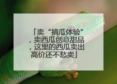 卖“摘瓜体验”，卖西瓜创意甜品，这里的西瓜卖出高价还不愁卖