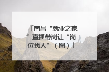 南昌“就业之家”直播带岗让“岗位找人”（图）