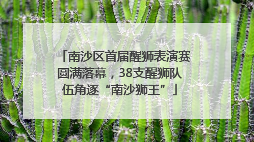 南沙区首届醒狮表演赛圆满落幕，38支醒狮队伍角逐“南沙狮王”
