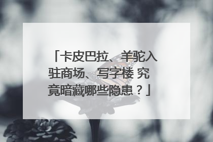 卡皮巴拉、羊驼入驻商场、写字楼 究竟暗藏哪些隐患？