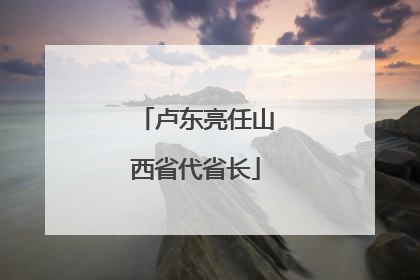 卢东亮任山西省代省长