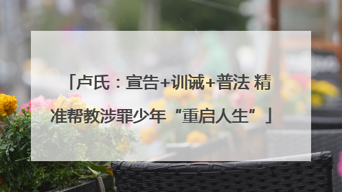 卢氏：宣告+训诫+普法 精准帮教涉罪少年“重启人生”