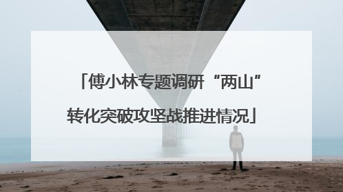 傅小林专题调研“两山”转化突破攻坚战推进情况
