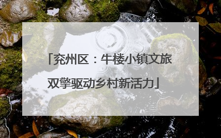 兖州区：牛楼小镇文旅双擎驱动乡村新活力