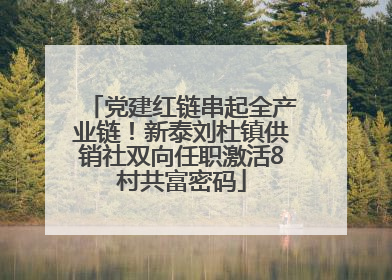 党建红链串起全产业链！新泰刘杜镇供销社双向任职激活8村共富密码