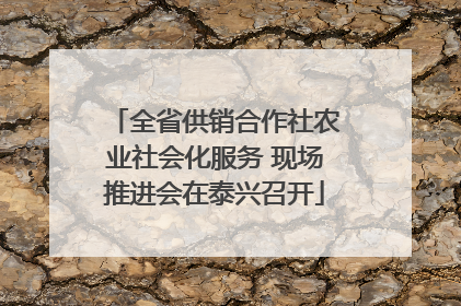 全省供销合作社农业社会化服务 现场推进会在泰兴召开