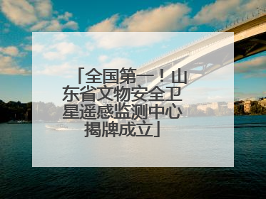 全国第一！山东省文物安全卫星遥感监测中心揭牌成立