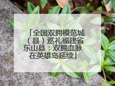 全国双拥模范城（县）巡礼福建省东山县：双拥血脉在英雄岛延续