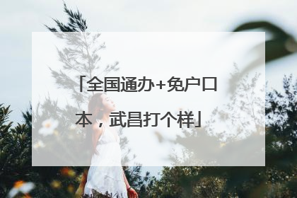 全国通办+免户口本，武昌打个样