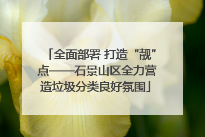 全面部署 打造“靓” 点——石景山区全力营造垃圾分类良好氛围