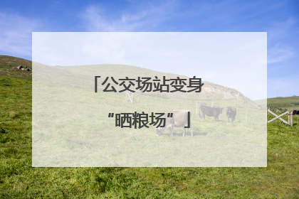 公交场站变身“晒粮场”