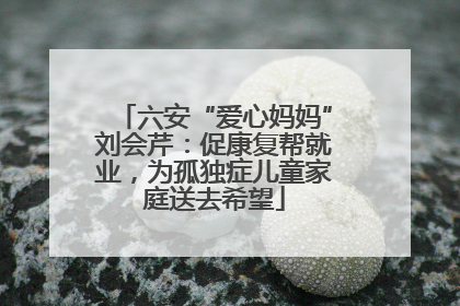 六安“爱心妈妈”刘会芹：促康复帮就业，为孤独症儿童家庭送去希望