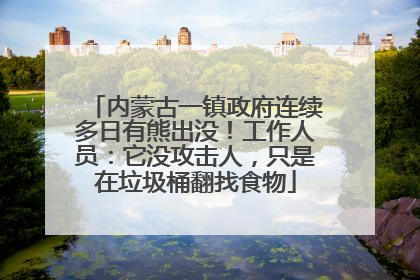 内蒙古一镇政府连续多日有熊出没！工作人员：它没攻击人，只是在垃圾桶翻找食物