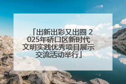 出新出彩又出圈 2025年硚口区新时代文明实践优秀项目展示交流活动举行