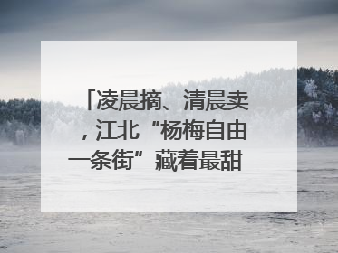 凌晨摘、清晨卖，江北“杨梅自由一条街”藏着最甜的烟火气
