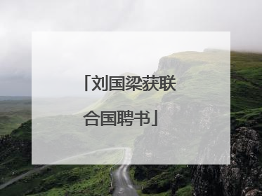 刘国梁获联合国聘书