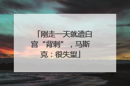 刚走一天就遭白宫“背刺”，马斯克：很失望