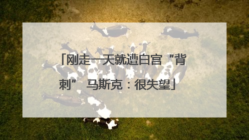 刚走一天就遭白宫“背刺” 马斯克：很失望