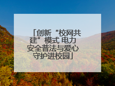 创新“校网共建”模式 电力安全普法与爱心守护进校园