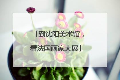 到沈阳美术馆，看法国画家大展