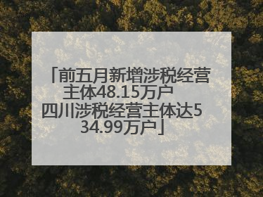 前五月新增涉税经营主体48.15万户 四川涉税经营主体达534.99万户