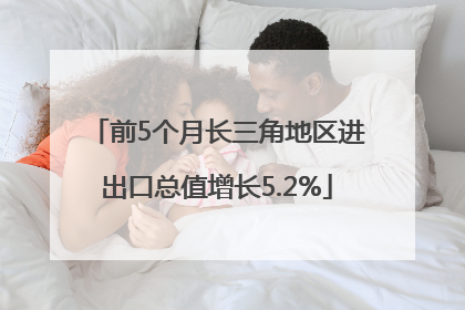 前5个月长三角地区进出口总值增长5.2%